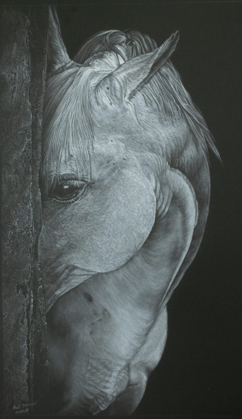 horse (1 of 1) horse (1 of 1)