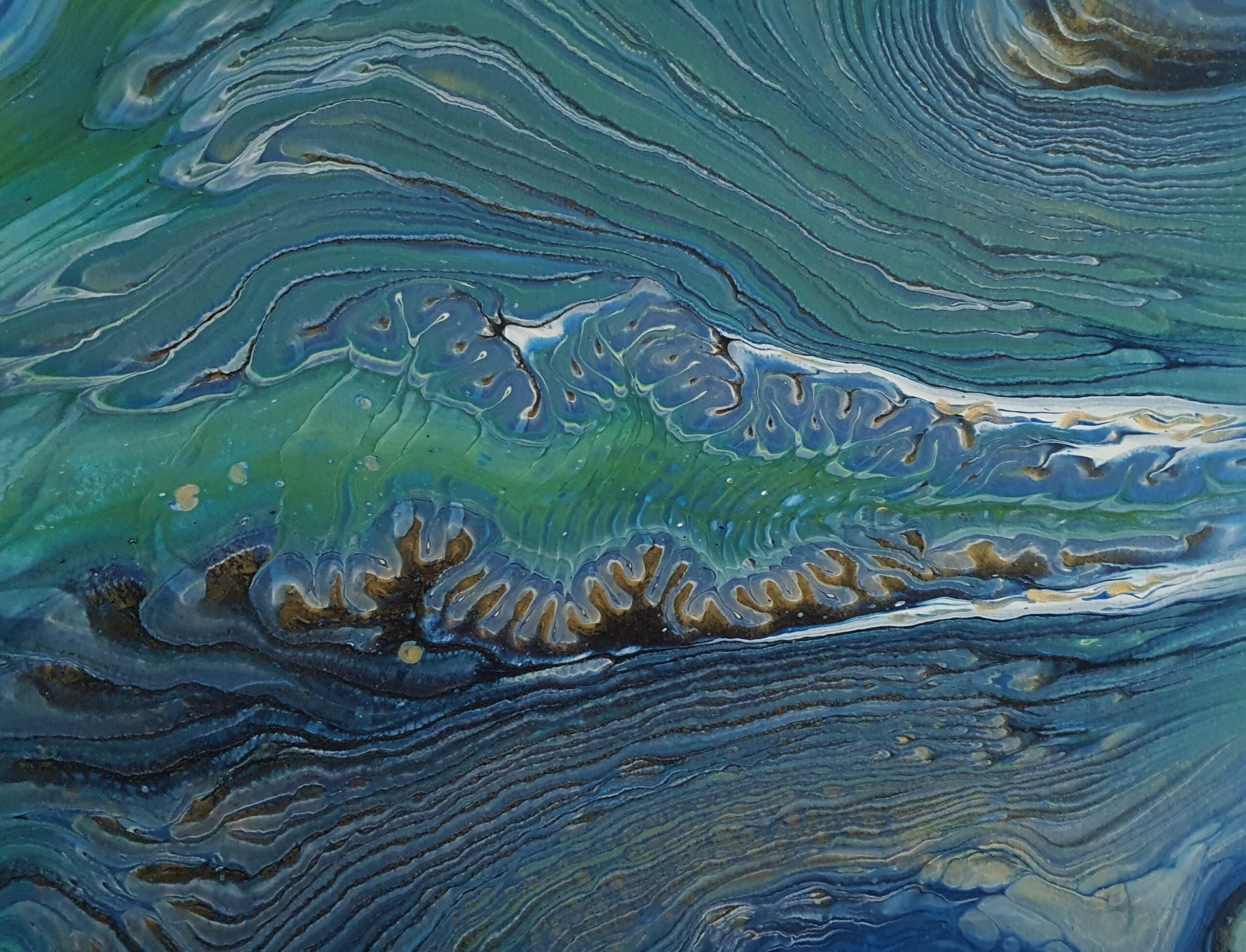 20200103_094214 200220