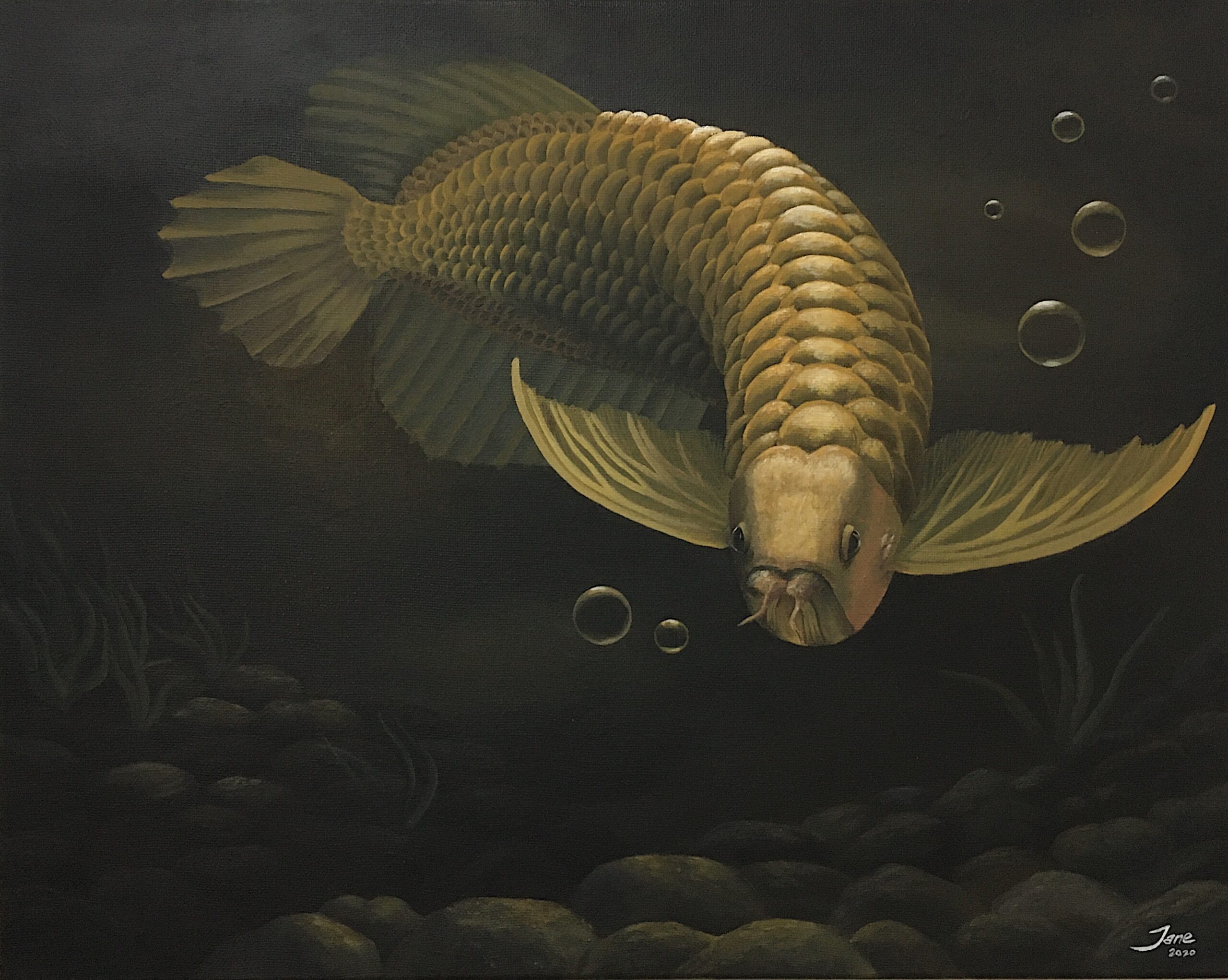 2DE0E34D-8C2E-44FE-ADC1-47B4646A6C51