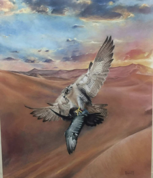 7967D9CF-4023-48E6-87FF-FDB79709B2B5 7967D9CF-4023-48E6-87FF-FDB79709B2B5