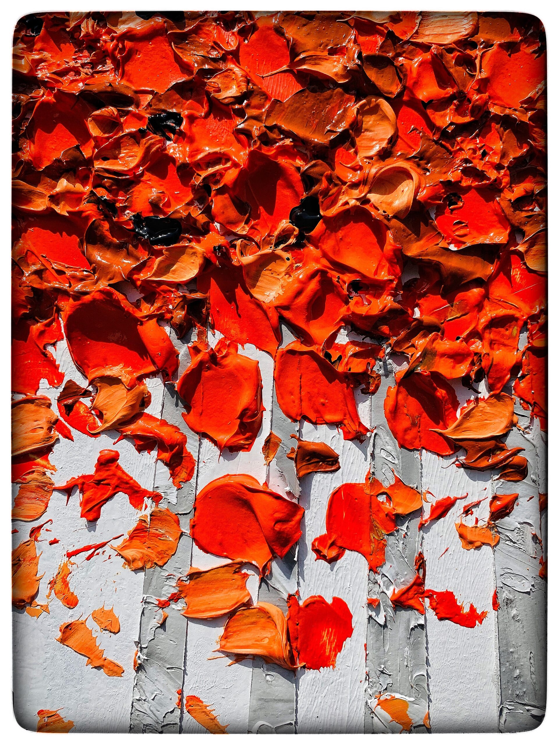 DACAAF2B-2A37-468E-8142-3761E9DC1E6F