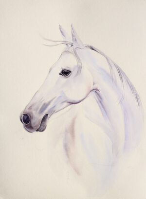 White Horse
