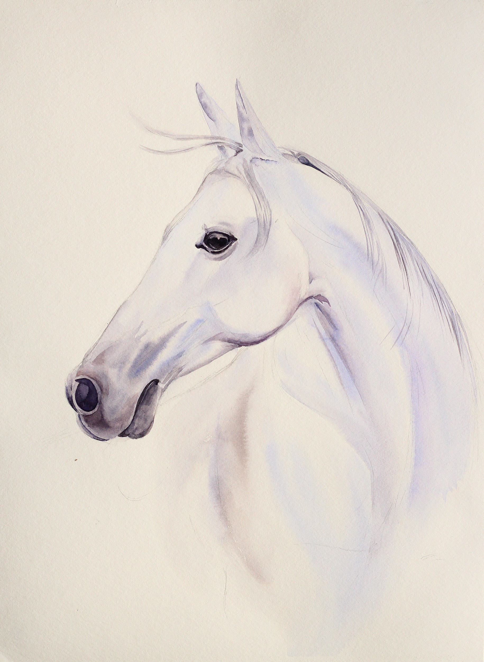 White Horse 1