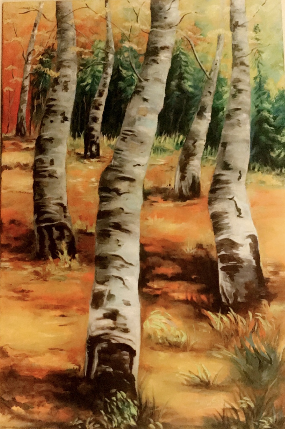 3DA0183A-C0D3-4F15-B84D-039DFA53AE09 3DA0183A-C0D3-4F15-B84D-039DFA53AE09