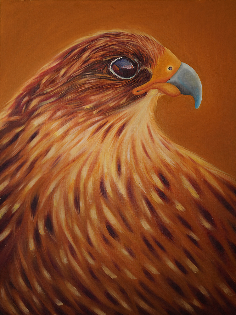 Falcon_Painting_Final