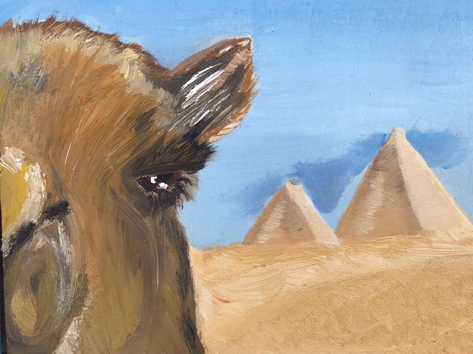 9C8F0477-9309-4199-8BD1-A291266BCE72 9C8F0477-9309-4199-8BD1-A291266BCE72