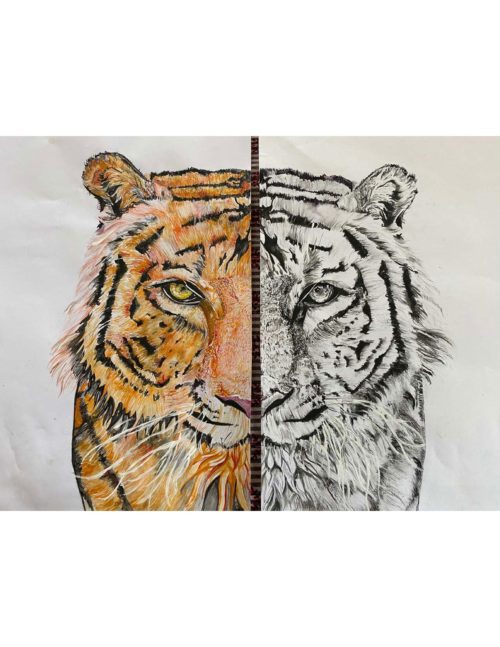 IMG_5192.jpg_compressed (1)-page-001 IMG_5192.jpg_compressed (1)-page-001