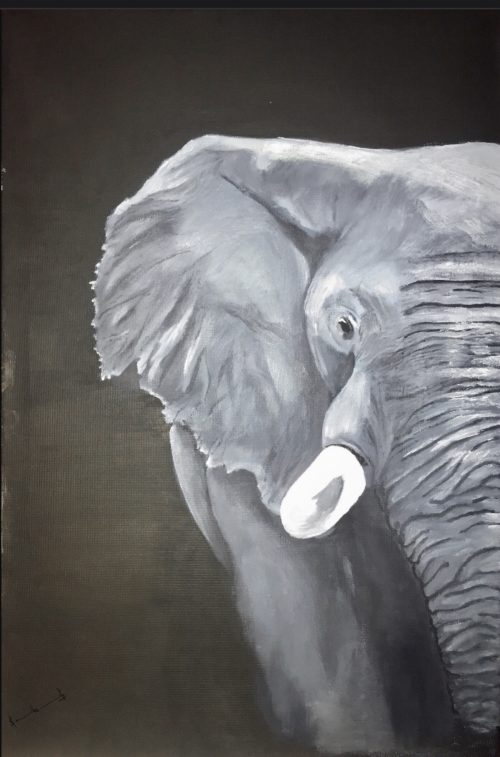 93C1CCCF-ADEC-4F48-A82C-309B42E137F7