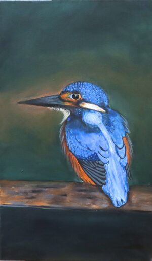 Kingfisher