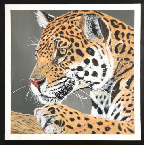 WhatsApp Image 2020-12-16 at 19.28.11 WhatsApp Image 2020-12-16 at 19.28.11