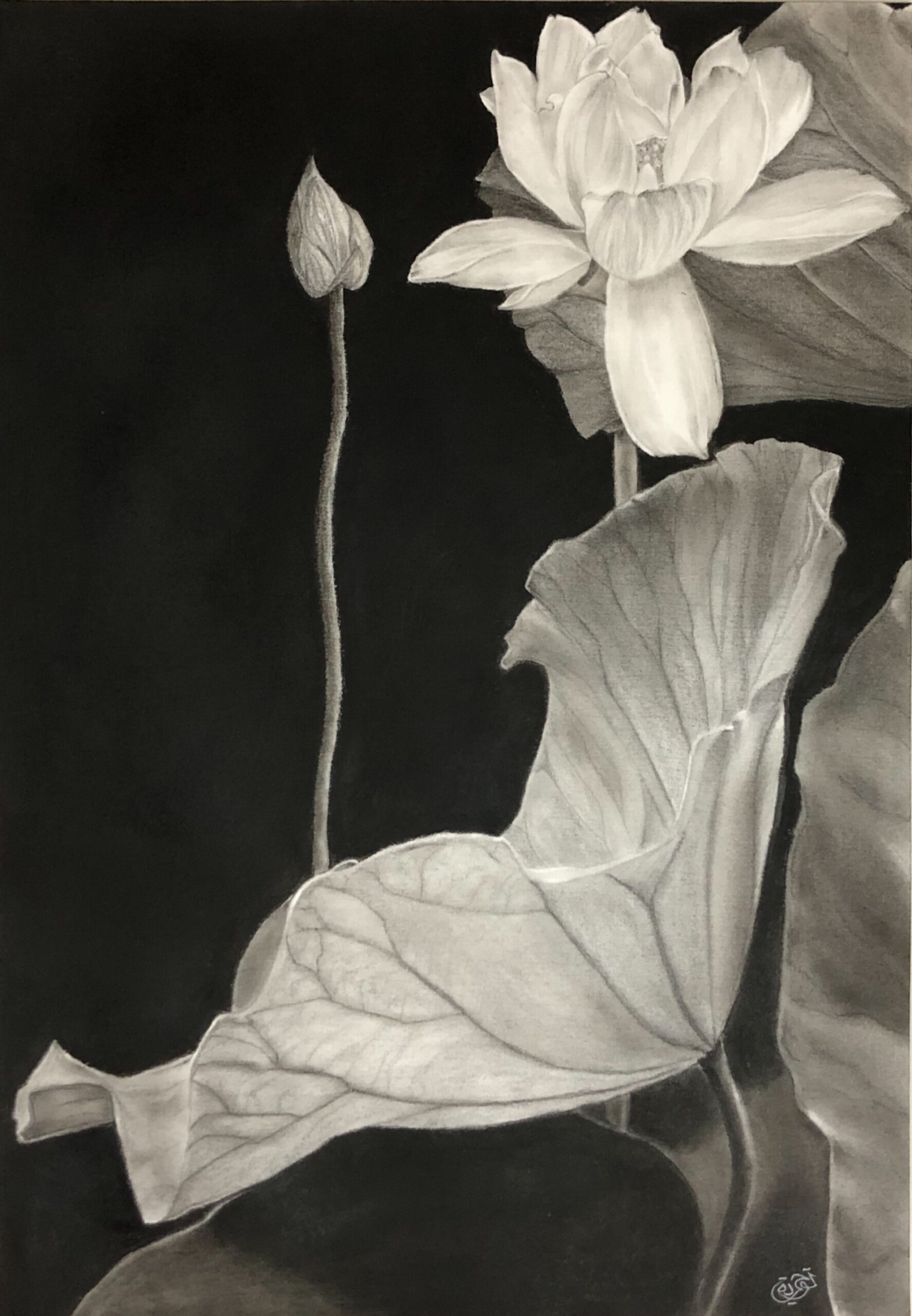 {"origin":"gallery","uid":"7643F570-EFA6-41C6-8688-3365B3D63582_1621679837948","source":"other"}