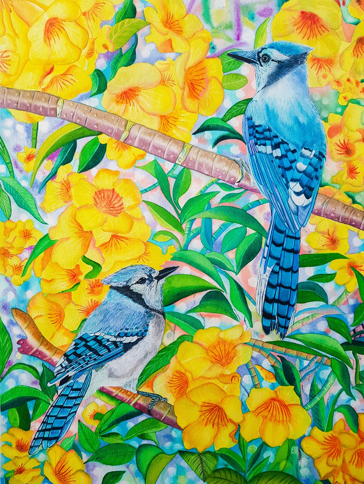 Varsha Parab Blue Jays
