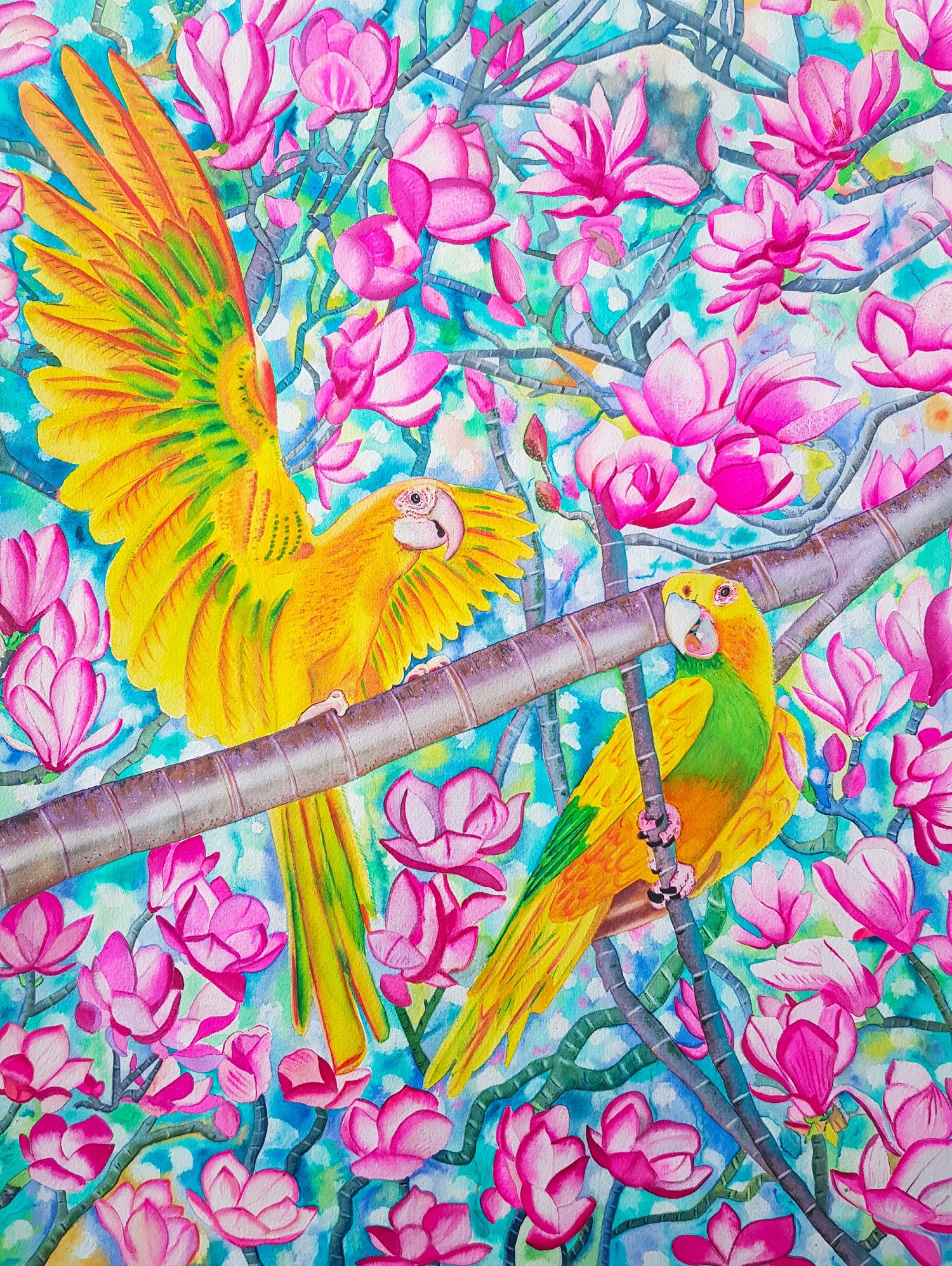 Varsha Parab Parrots