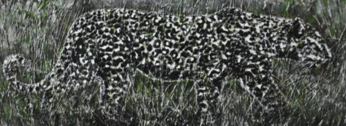 inbound2850436015344455182 inbound2850436015344455182