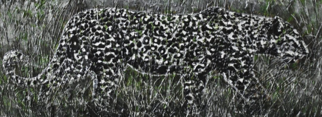 inbound2850436015344455182 inbound2850436015344455182