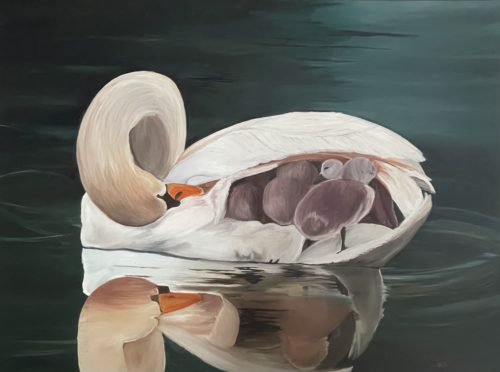 7A2BA465-8762-47B6-B722-BF41BCB11A6A 7A2BA465-8762-47B6-B722-BF41BCB11A6A