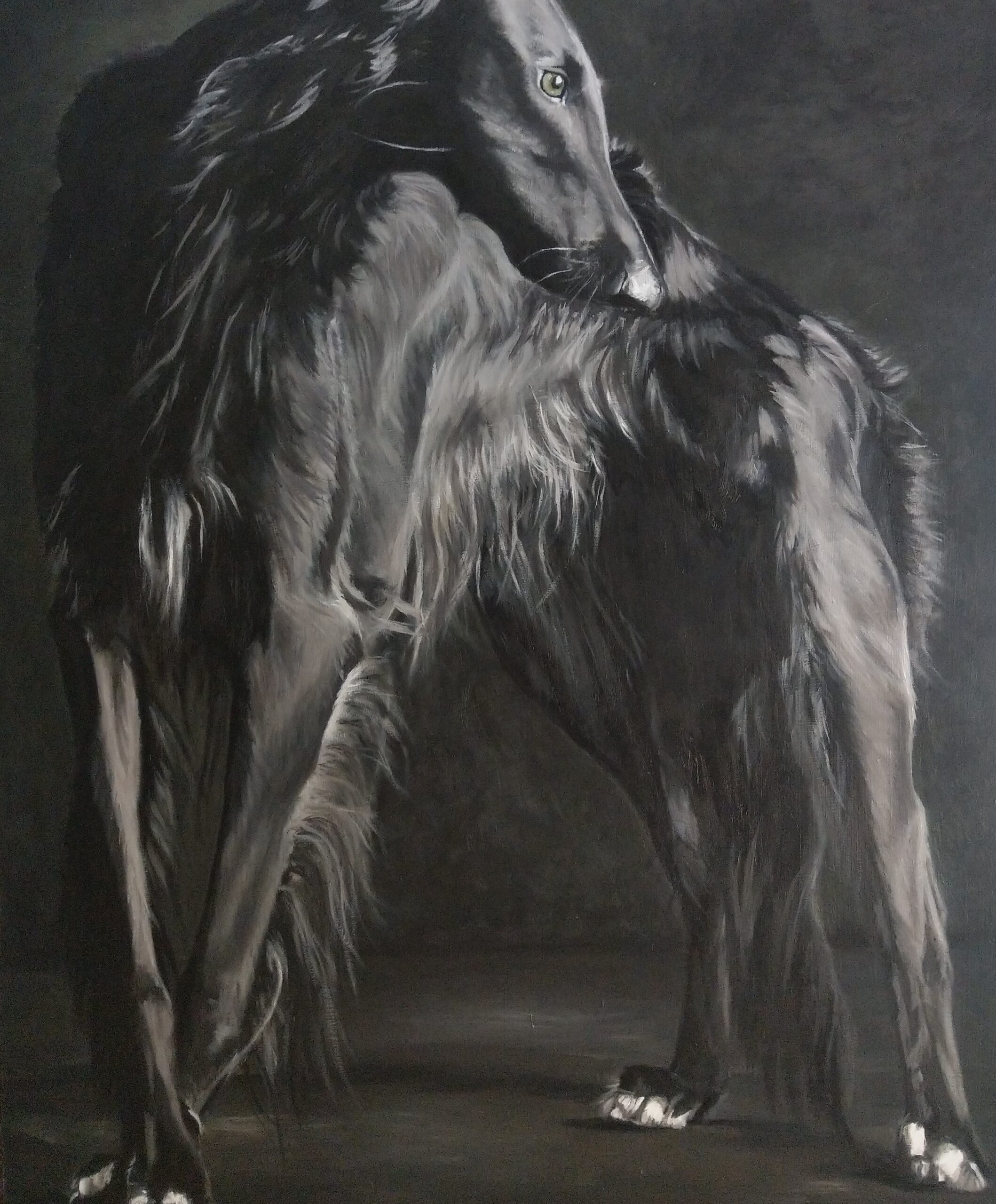 IMAG2490~4 IMAG2490~4