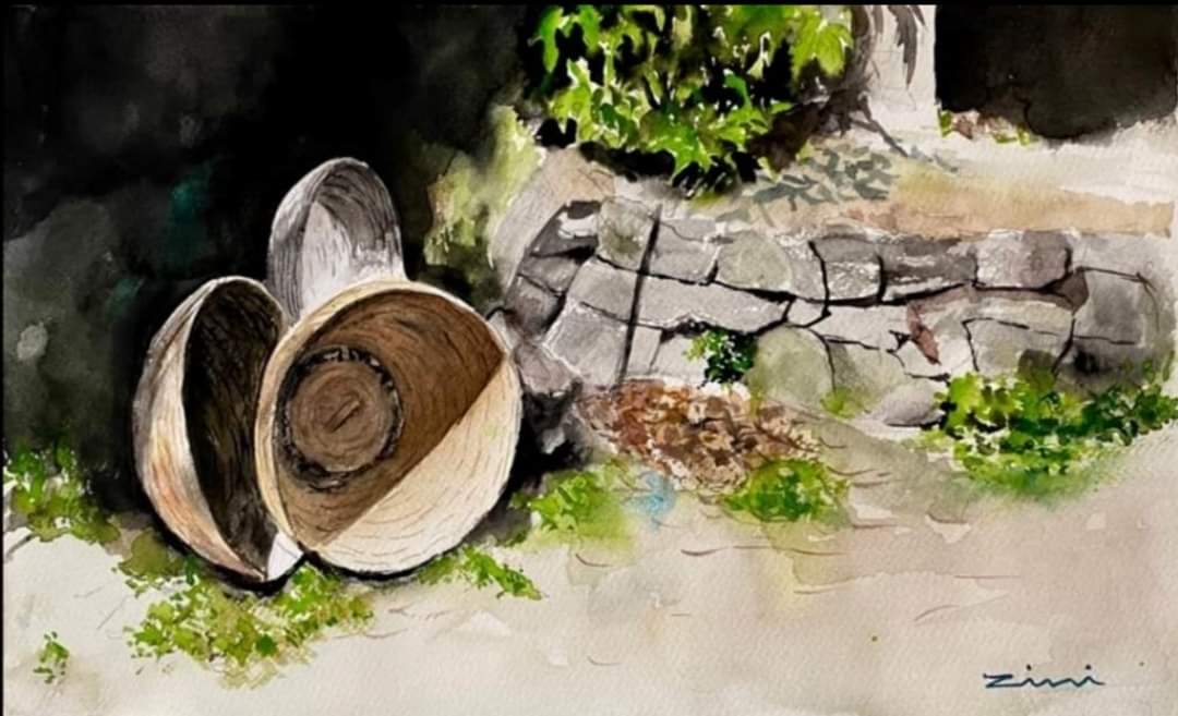 FB_IMG_1627671822838