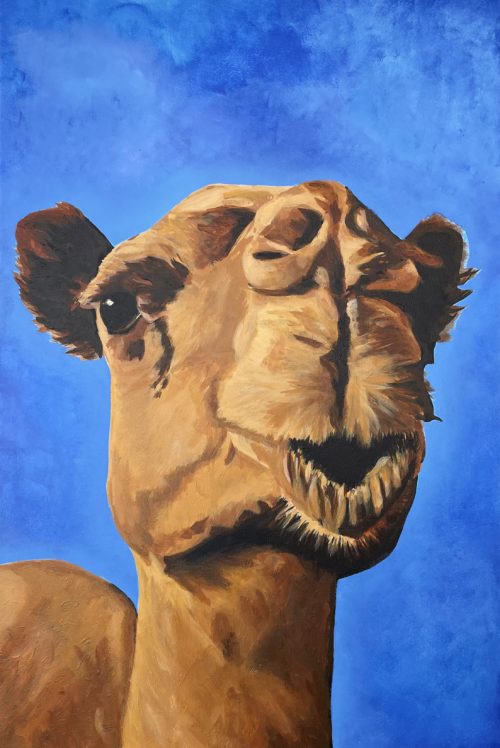 camel