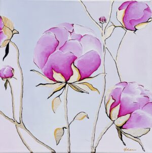 Budding and blooming Peony