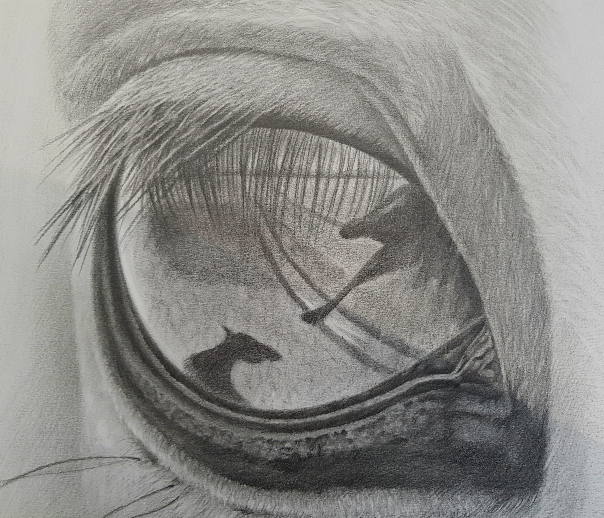 Focusing 29x41cm Фокусировка 29х41см Price AED 1000