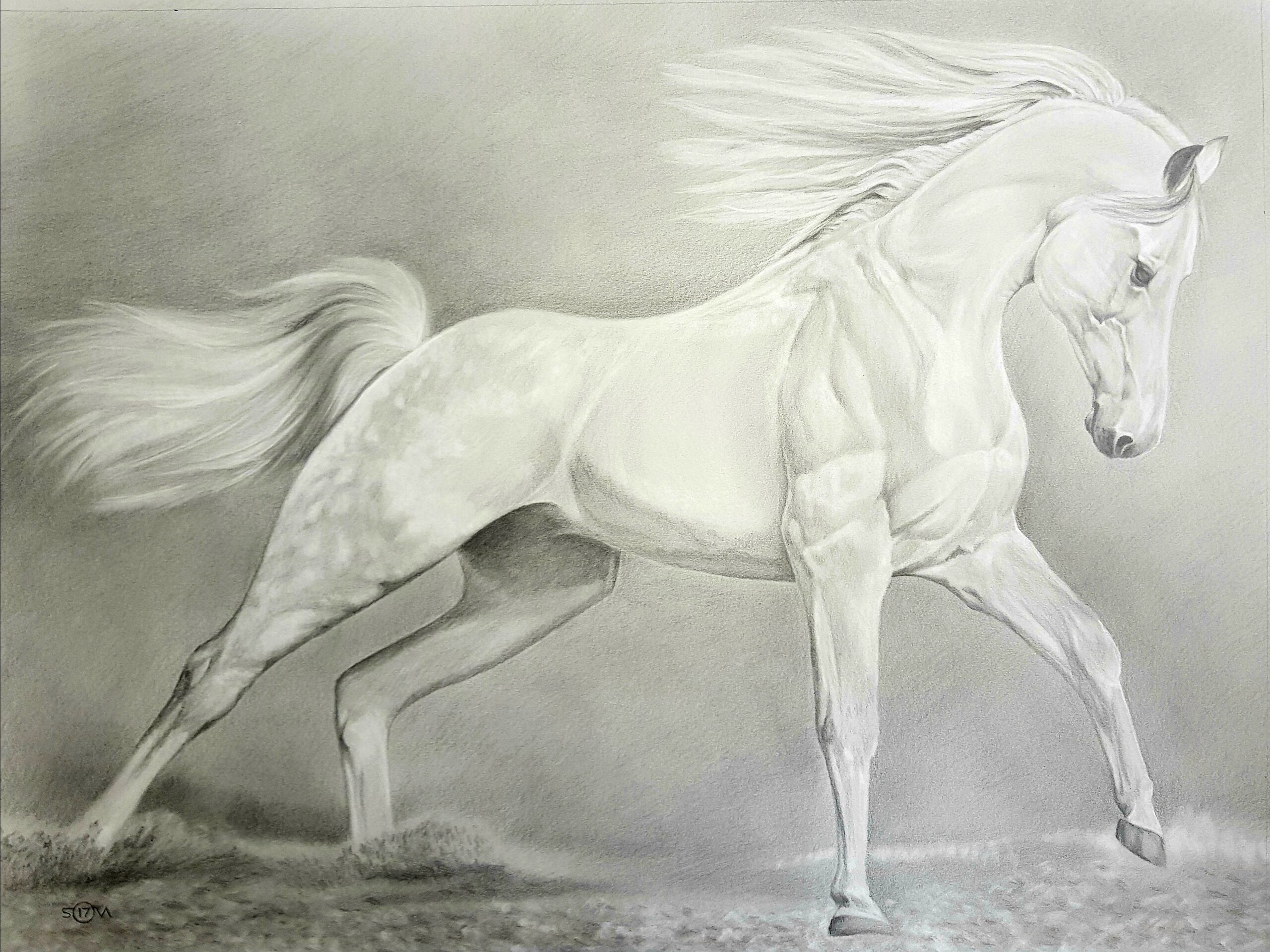 Superiority 75x56cm Превосходство 75х56см Price AED 2500